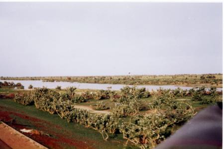 WENDOU THIAKALL
